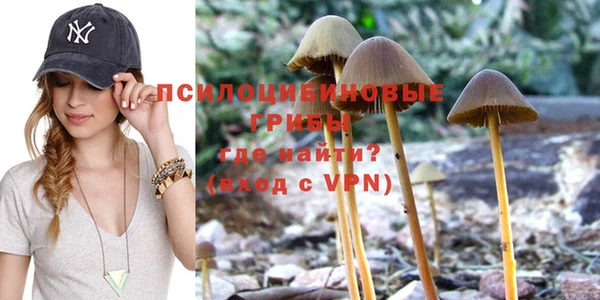 герыч Осташков