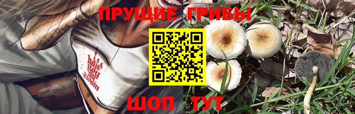 Галлюциногенные грибы мухоморы Черногорск