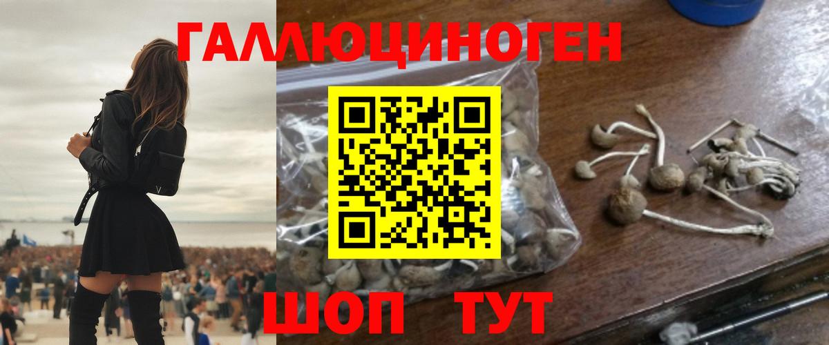 Черногорск  где найти наркотики  Вход с VPN  Галлюциногенные грибы ЛСД 